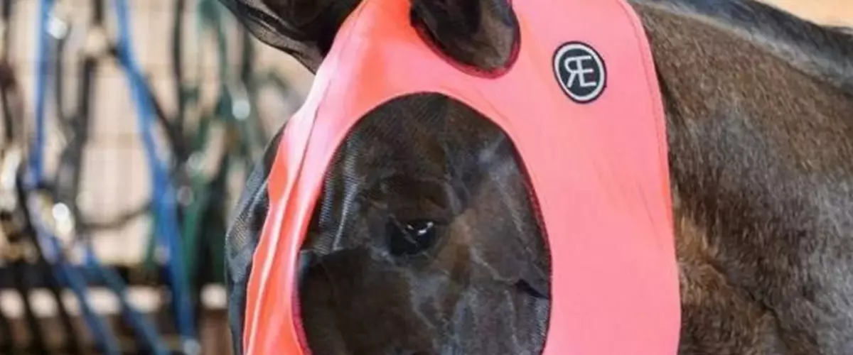 How do I stop my horse from removing its fly mask?