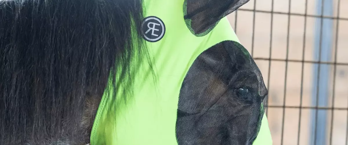 What are the best fly masks for horses with sen...