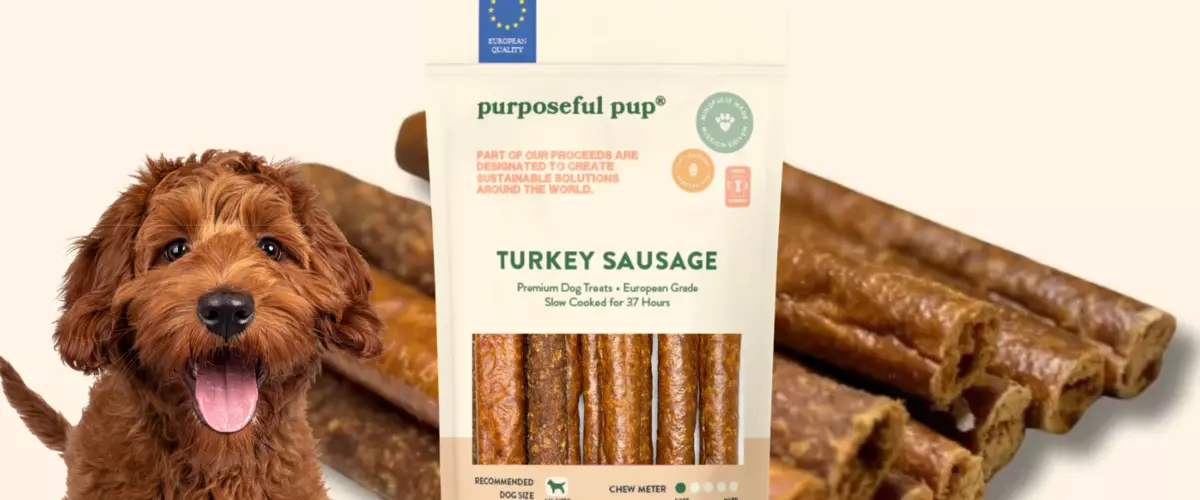 Want a Leaner Protein Snack for Your Dog?