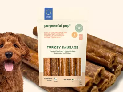 Want a Leaner Protein Snack for Your Dog?