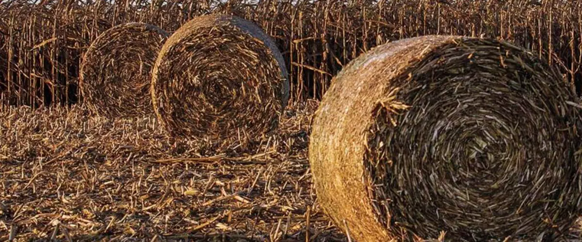 Which Net Wrap Will Perform Best with Cornstalks?