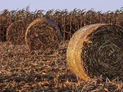 Which Net Wrap Will Perform Best with Cornstalks?