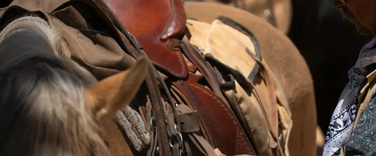 What type of saddle bag is best for trail riding?