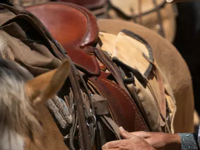 What type of saddle bag is best for trail riding?