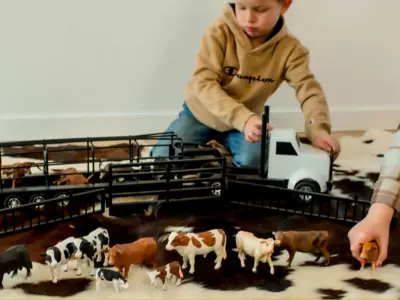 How are Zaga Toys different from other farm toy...