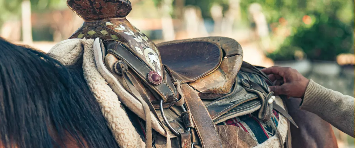 How thick should a saddle pad be for proper sup...