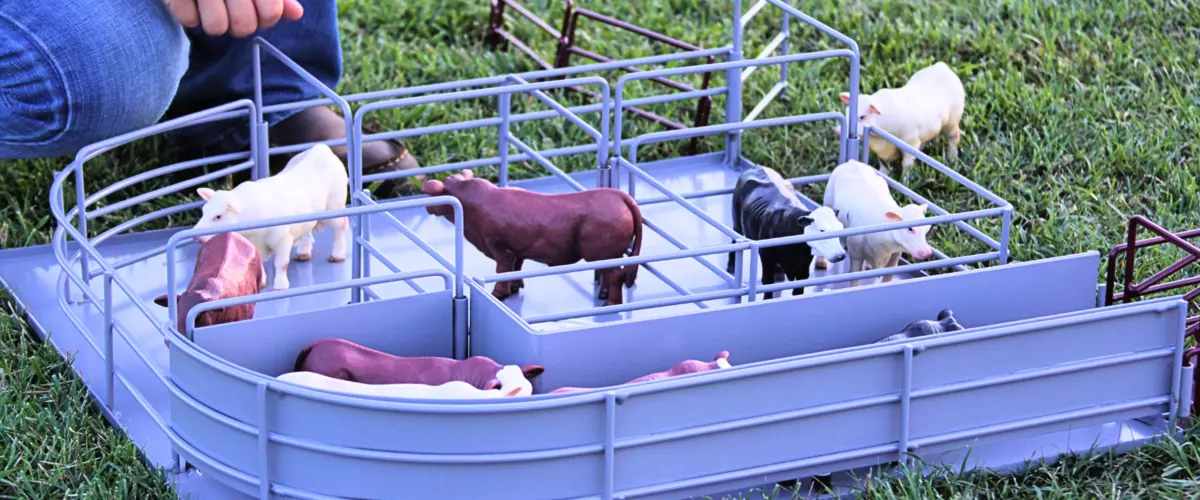 Can I build a full ranch setup with Little Bust...