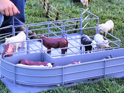 Can I build a full ranch setup with Little Bust...
