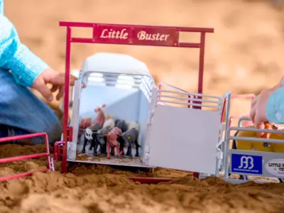 Are Little Buster Toys educational?