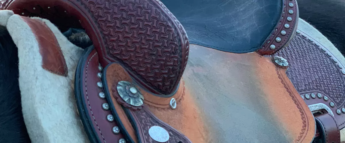 What is the best saddle pad for trail riding?