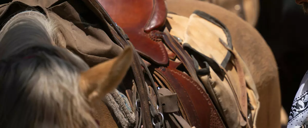 How often should you replace a saddle pad?
