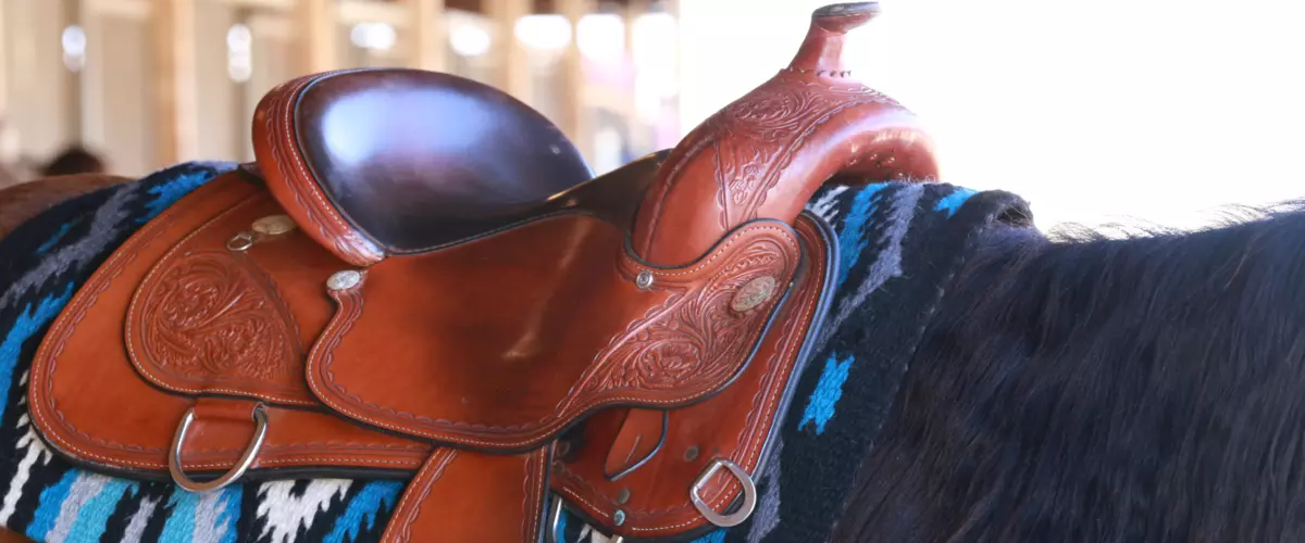 How do I choose the right size saddle pad?