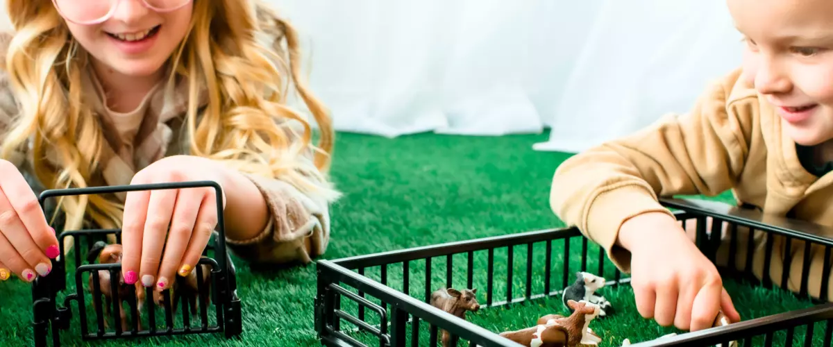 What are Zaga Toys and why are they different?