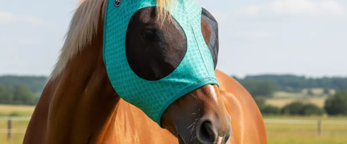 Which Fly Masks for Horses Combine Comfort, UV ...
