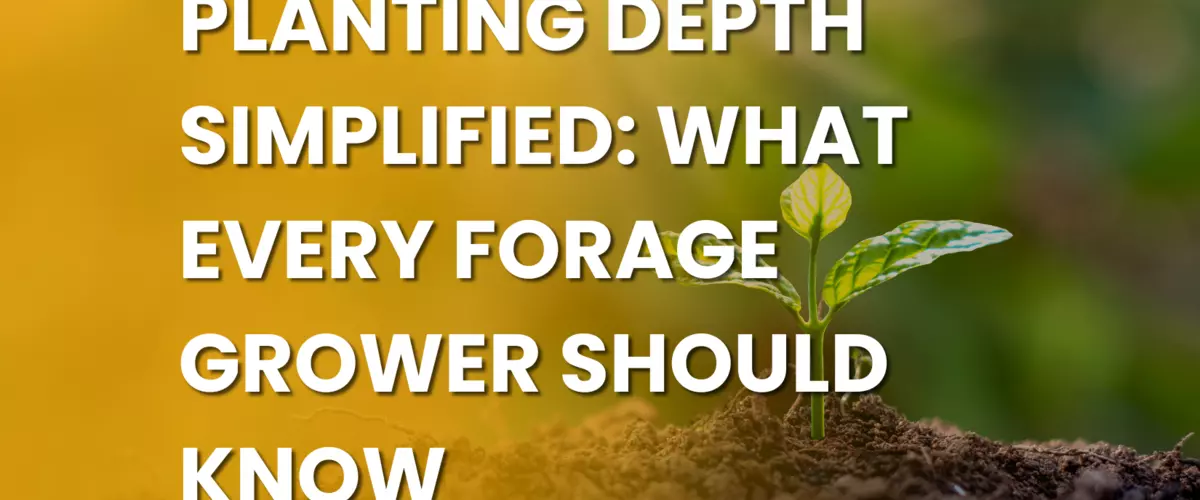 Planting Depth Simplified: What Every Forage Gr...