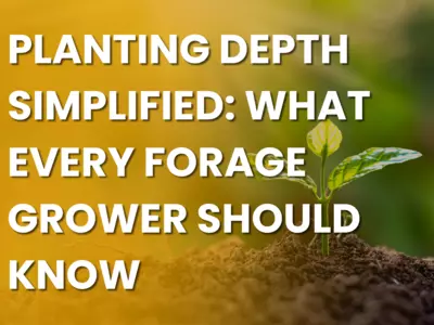 Planting Depth Simplified: What Every Forage Gr...