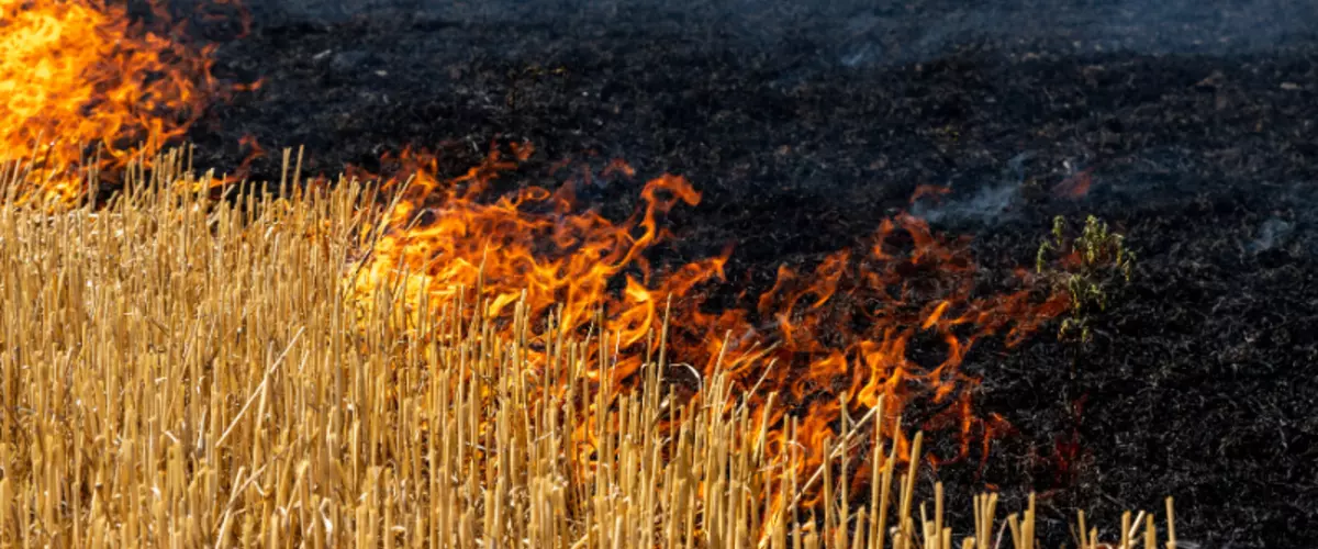 Effective Fire Control with Ag Spray Equipment:...