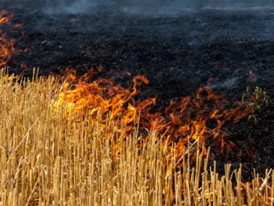 Effective Fire Control with Ag Spray Equipment:...