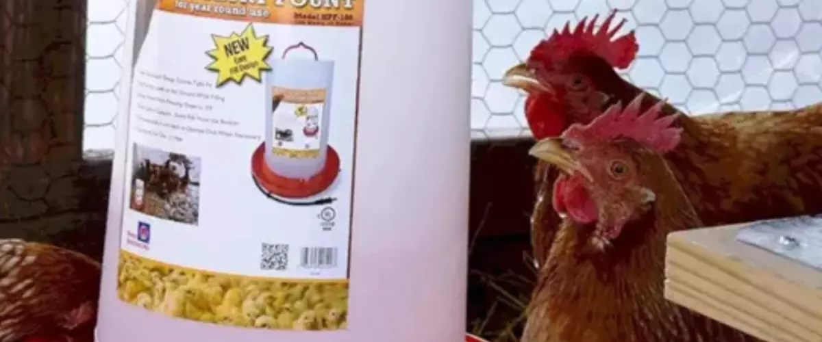 Where Can I Buy Poultry Waterers?