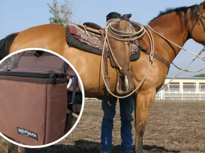 How Do I Keep My Saddle Bag From Rubbing My Horse?