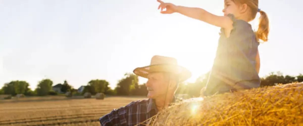 The Best Farm Toys for Kids: Shop These Amazing...