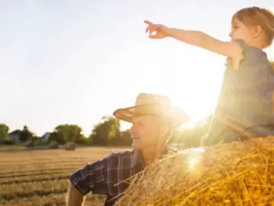 The Best Farm Toys for Kids: Shop These Amazing...