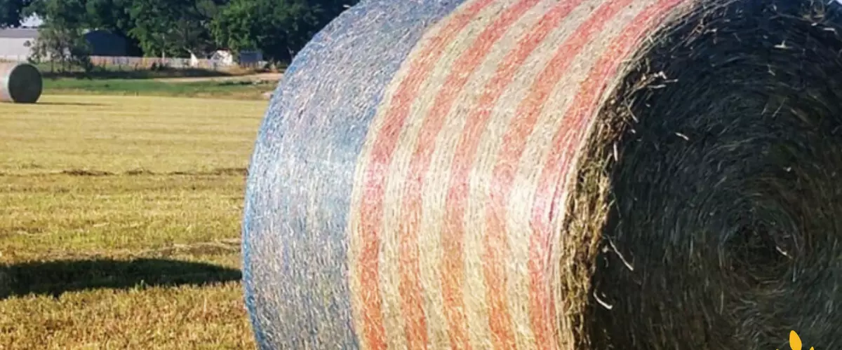 Get Your Flag On with Agzaga.com: Free American...