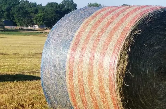 Get Your Flag On with Agzaga.com: Free American...