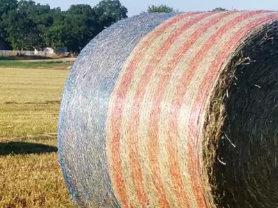 Get Your Flag On with Agzaga.com: Free American...