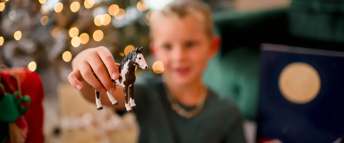 Farm-Themed Advent Calendar: A Magical Christma...