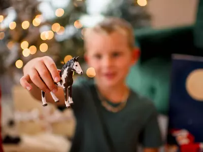 Farm-Themed Advent Calendar: A Magical Christma...