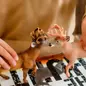 Farm Toys for Toddlers Who Love Animals and Tra...