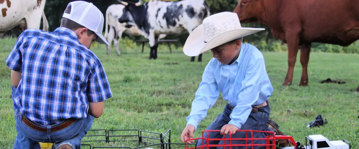 Farm Toy with Barn: A Classic Gift That Never G...