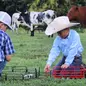 Farm Toy with Barn: A Classic Gift That Never G...