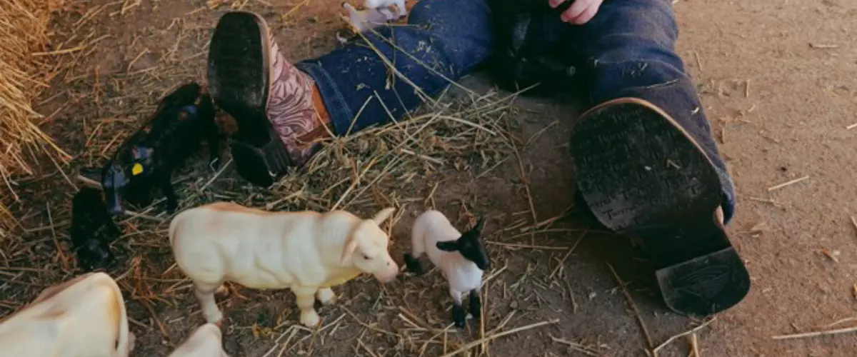 Best Farm Toys for Babies That Encourage Play a...
