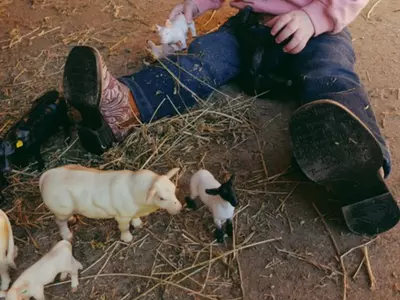 Best Farm Toys for Babies That Encourage Play a...