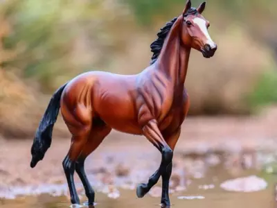 Celebrating Equine Greatness — The Historic Bre...