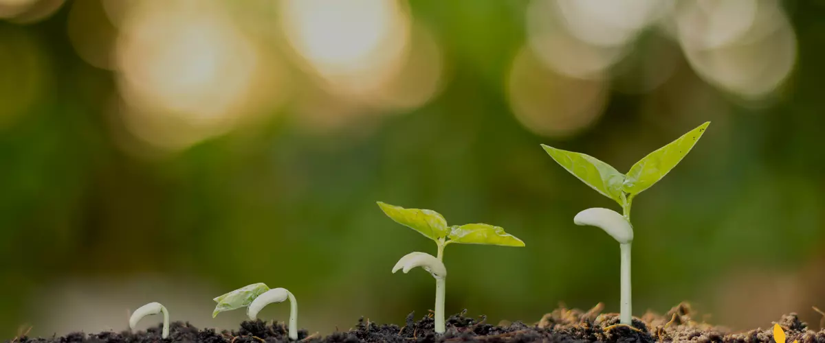 Manure Spreaders 101: What to Look for and Why ...