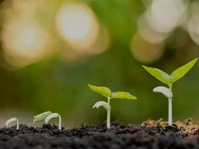 Manure Spreaders 101: What to Look for and Why ...