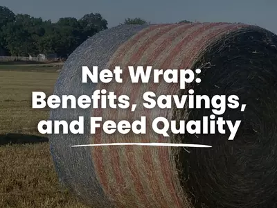 Why Use Net Wrap: Benefits, Savings, and Feed Q...