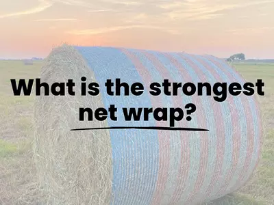What Is the Strongest Net Wrap?