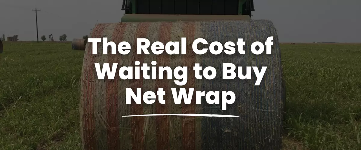 Beat the Price Spike: The Real Cost of Waiting ...