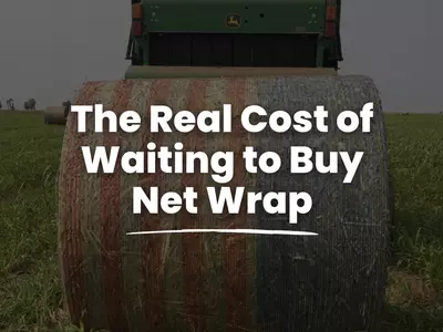 Beat the Price Spike: The Real Cost of Waiting ...