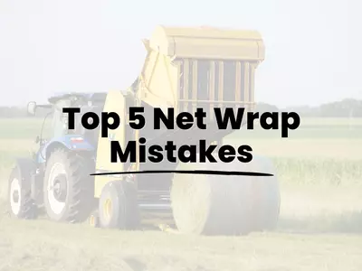 Top 5 Net Wrap Mistakes That Cost You Money (An...