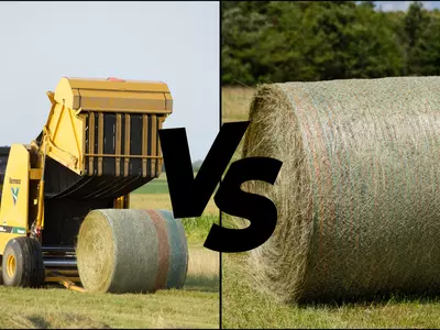 Bridon vs Ag-Rite Net Wrap — Durability Meets A...