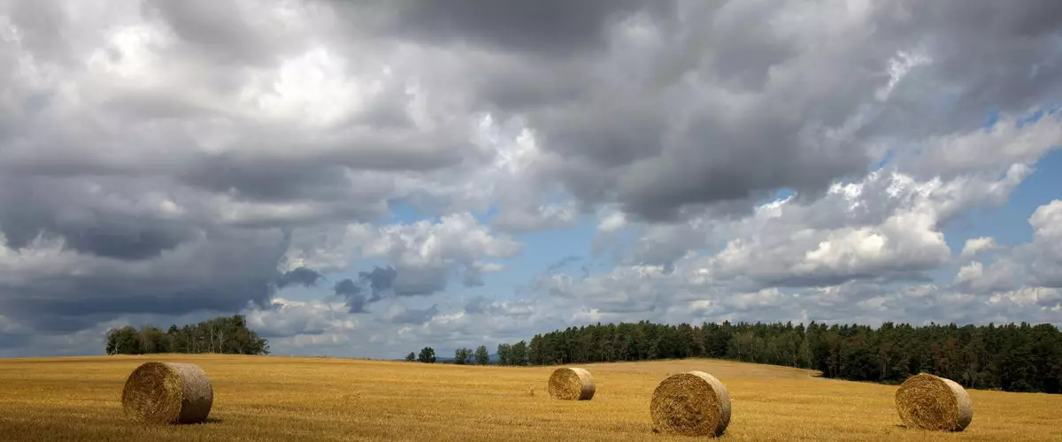 Netwrap vs. twine: how to choose for your opera...