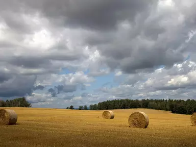 Netwrap vs. twine: how to choose for your opera...