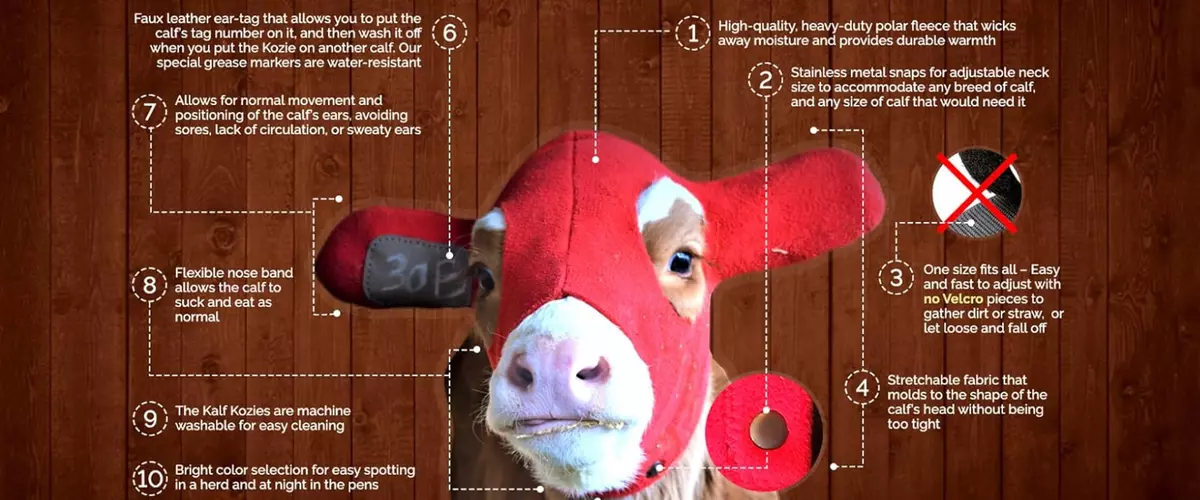 What Are the Benefits of Kalf Kozie Ear Muffs?