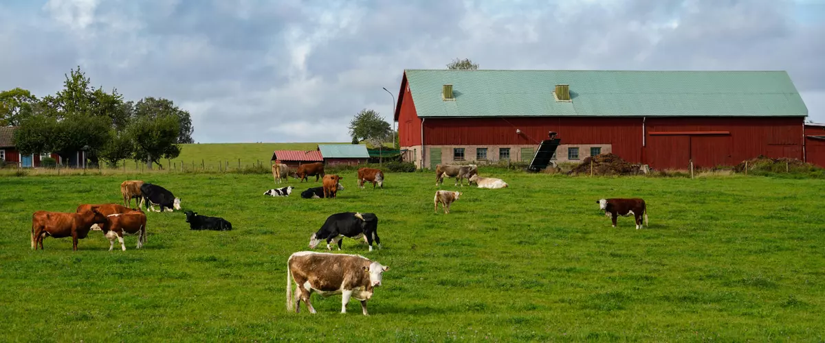 What Is the Most Convenient Way to Order Agricu...