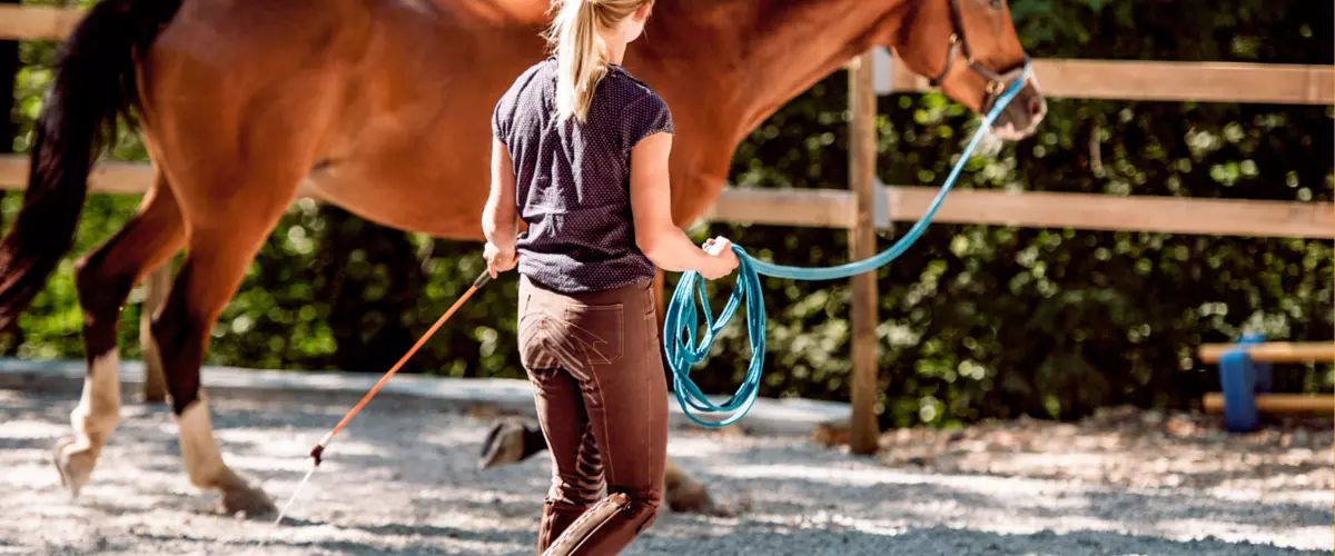 What length and material of lead rope is best f...